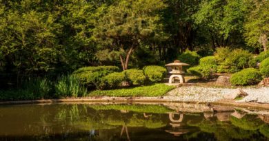 Japanese Garden and Pond