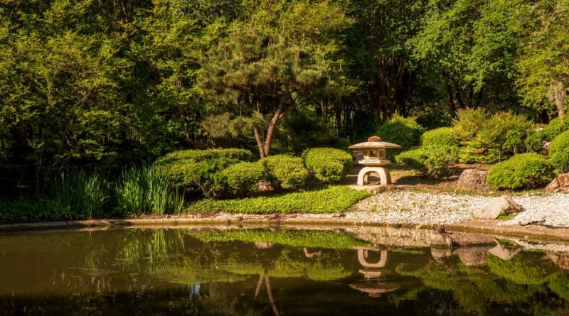 Japanese Garden and Pond